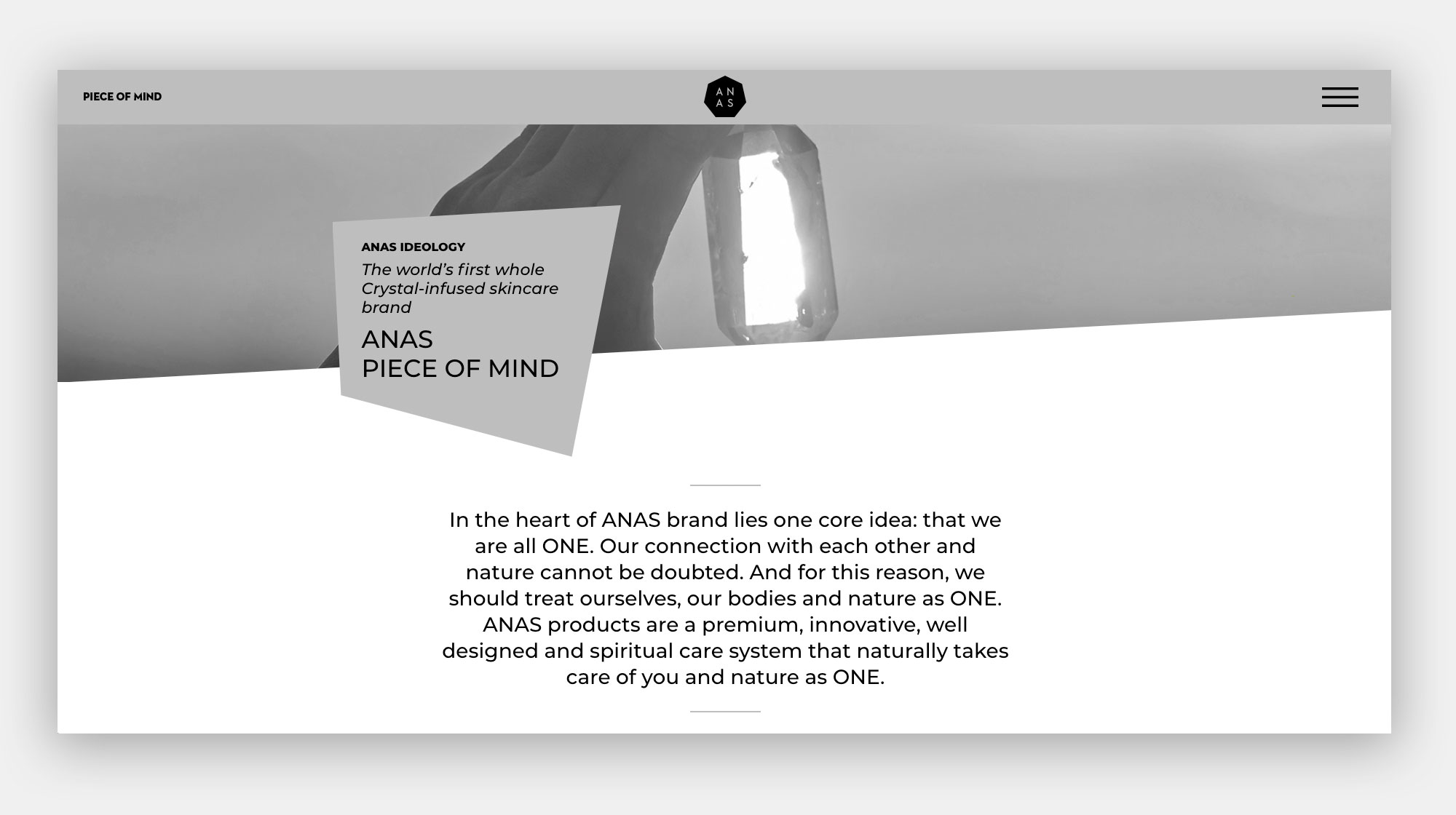 ANAS WEBSITE