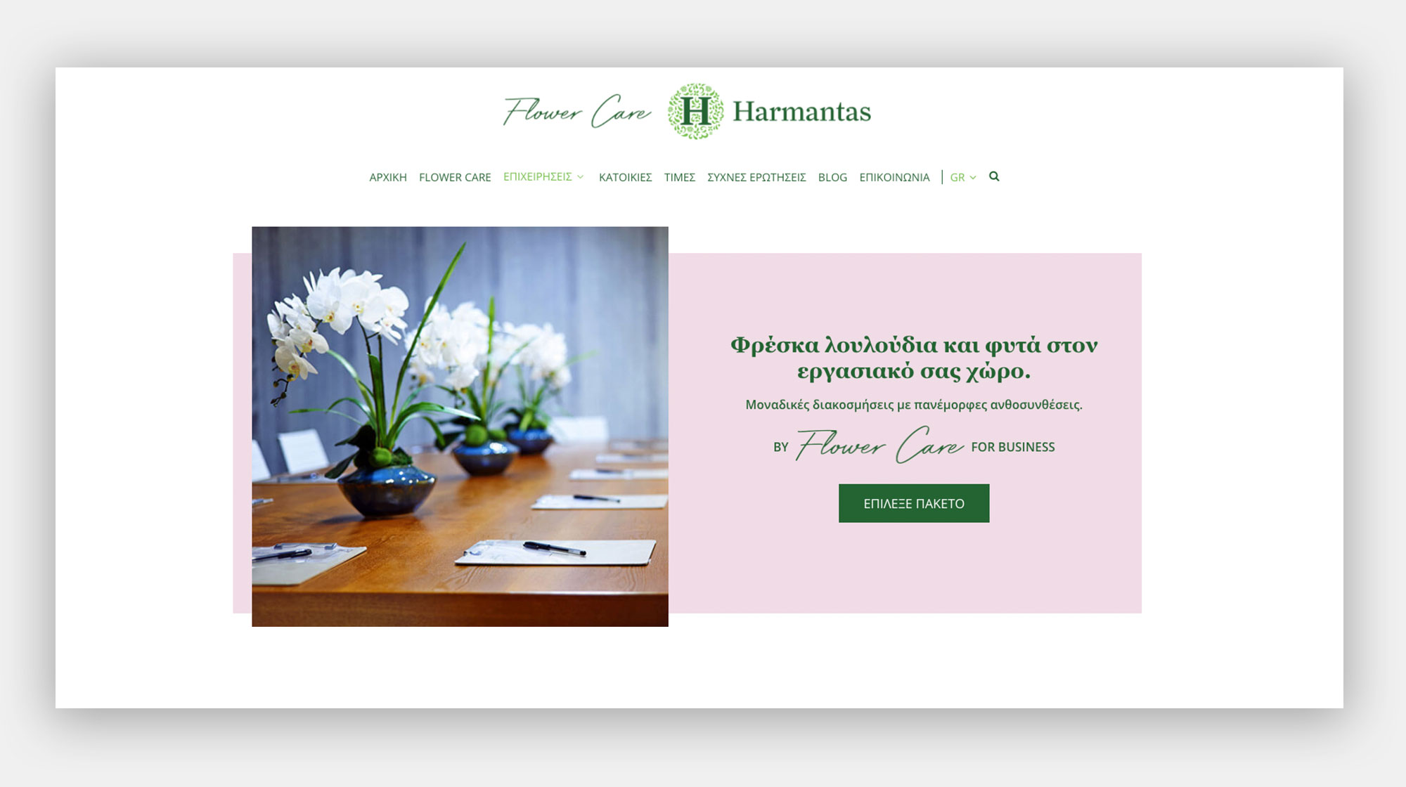 FLOWER CARE HARMANTAS